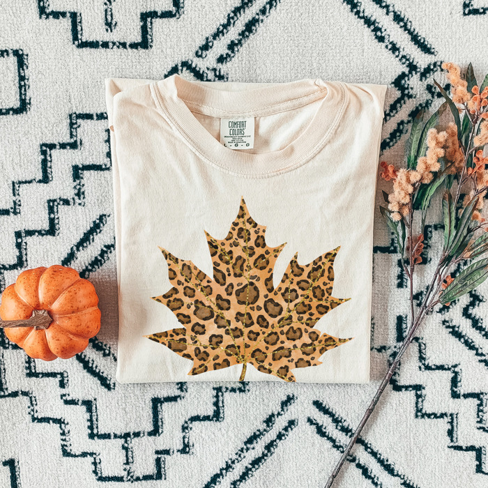 Trendy Fall and Halloween T-Shirts – Cute Spooky Season Graphic Tees for Moms, Teachers, Pumpkin Patch, and 31 Days of Halloween