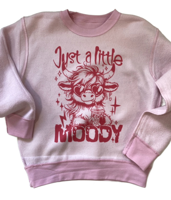 Moody Highland Cow Adult Inside Out Sweatshirt | Cozy Season