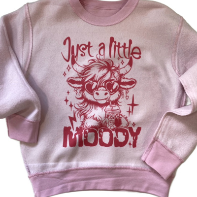 Moody Highland Cow Kids Inside Out Sweatshirt | Cozy Season
