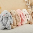  Custom Easter Bunny Small Plush | 6 colors