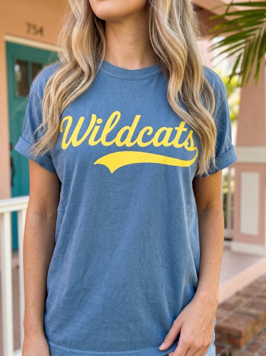 Custom Team Name Script Tee, Retro Mascot Shirt, Comfort Colors Game Day Tee, Gift For High School, School Spirit Shirt, Sports Mom Tee, Personalized Team Apparel