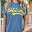  Custom Team Name Script Tee, Retro Mascot Shirt, Comfort Colors Game Day Tee, Gift For High School, School Spirit Shirt, Sports Mom Tee, Personalized Team Apparel