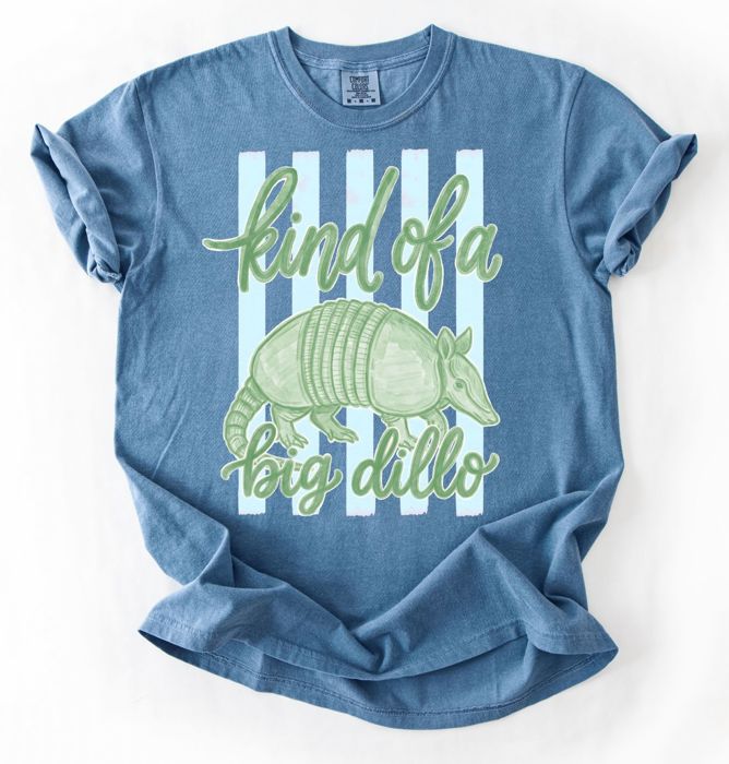 Kind of a Big Dillo Striped Graphic Tee, Funny Humor Animal Pun Shirt, Retro Armadillo Shirt, Comfort Colors Style Tee, Cute Casual Outfit, Gift for Her