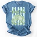 Kind of a Big Dillo Striped Graphic Tee, Funny Humor Animal Pun Shirt, Retro Armadillo Shirt, Comfort Colors Style Tee, Cute Casual Outfit, Gift for Her
