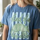  Kind of a Big Dillo Striped Graphic Tee, Funny Humor Animal Pun Shirt, Retro Armadillo Shirt, Comfort Colors Style Tee, Cute Casual Outfit, Gift for Her