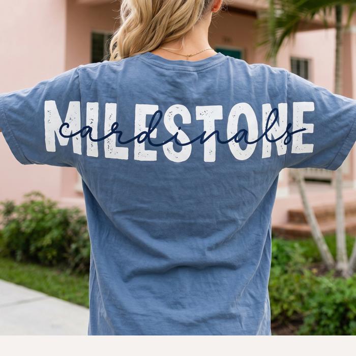 Custom Varsity Comfort Colors Tee, Personalized Graphic Shirt, Custom Name Tee, Trendy Oversized Shirt, Personalized Mascot Team, Hometown Tee, Gift for Her