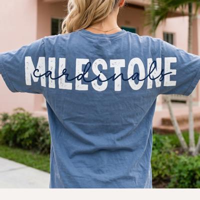 Custom Varsity Comfort Colors Tee, Personalized Graphic Shirt, Custom Name Tee, Trendy Oversized Shirt, Personalized Mascot Team, Hometown Tee, Gift for Her