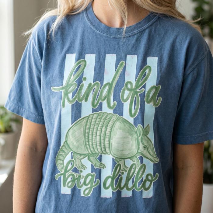 Kind of a Big Dillo Striped Graphic Tee, Funny Humor Animal Pun Shirt, Retro Armadillo Shirt, Comfort Colors Style Tee, Cute Casual Outfit, Gift for Her