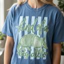  Kind of a Big Dillo Striped Graphic Tee, Funny Humor Animal Pun Shirt, Retro Armadillo Shirt, Comfort Colors Style Tee, Cute Casual Outfit, Gift for Her