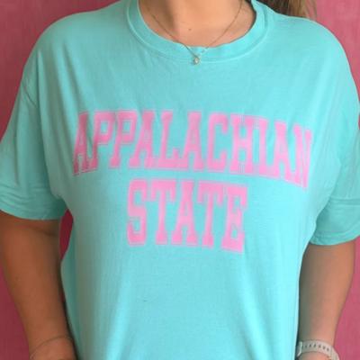 Custom College Shirt, Personalized University Tee, Comfort Colors T-Shirt, Sorority Gift, Graduation Shirt, School Pride Tee