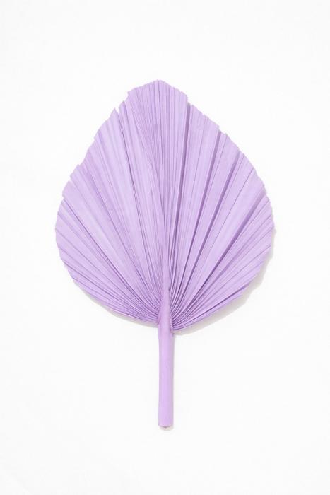 14” Hot Pink Fuchsia Palm Fronds, Dried Palm Tree Leaf, Bright Wedding Arrangement, Vase Filler, Bridal Party Table Decor, Bridesmaid Props