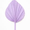 Purple 14” Hot Pink Fuchsia Palm Fronds, Dried Palm Tree Leaf, Bright Wedding Arrangement, Vase Filler, Bridal Party Table Decor, Bridesmaid Props