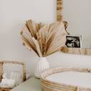  14” Dried Palm Tree Leaves Set, Natural Leaf Decor, Preserved Palm Spear Bundle, Boho Tropical Wedding Decor, Hawaii Wedding Arrangement