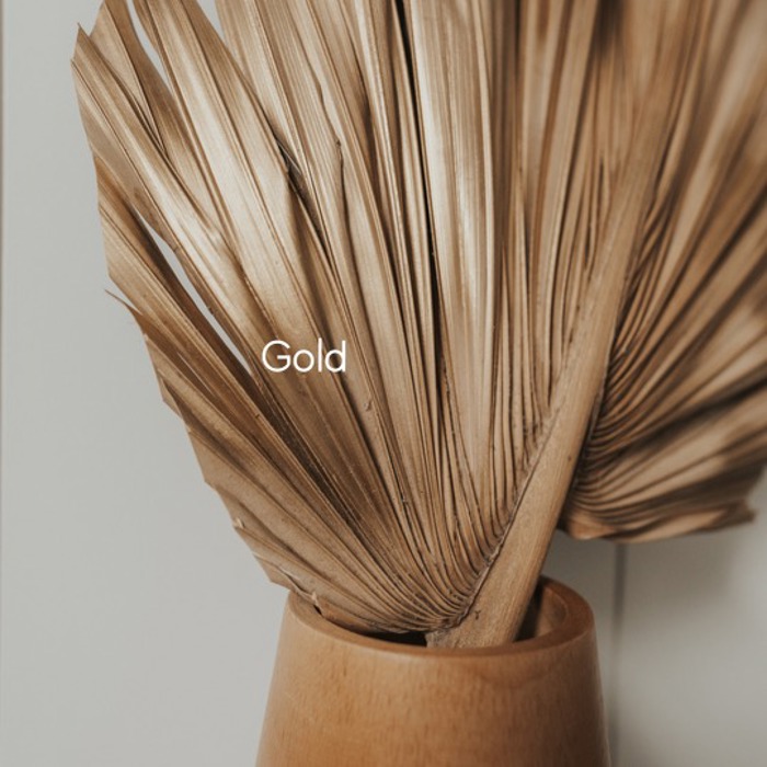 Gold Metallic Palm Frond Dried Glam Palm Leaf DIY Decoration Material Luxury Party Event Wedding Table Centerpieces Decor - 3PCs - 14”
