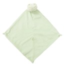 Frog Angel Dear Lovie Blankie - Gift Wrapped