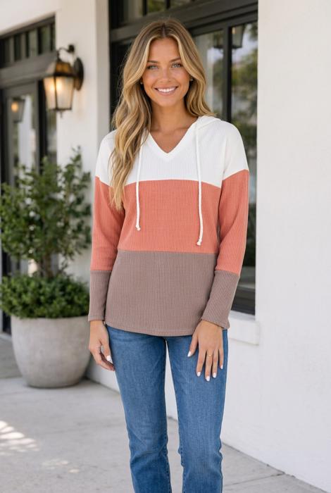 Alexandra Colorblock Hooded Pullover Long Sleeve Top