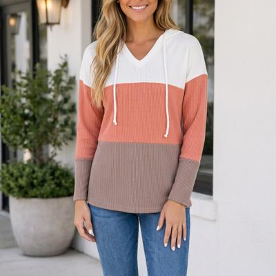 Alexandra Colorblock Hooded Pullover Long Sleeve Top