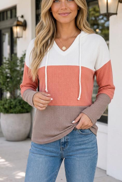 Alexandra Colorblock Hooded Pullover Long Sleeve Top