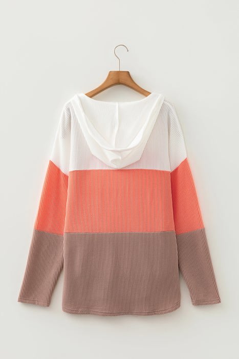 Alexandra Colorblock Hooded Pullover Long Sleeve Top