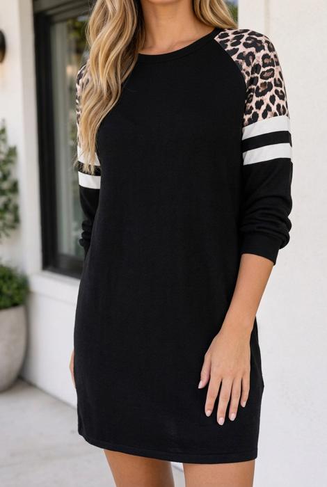 Amandah Sleeve Sweatshirt Dress