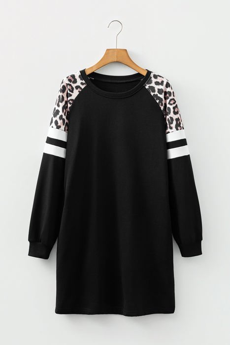 Amandah Sleeve Sweatshirt Dress