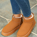  Anna Fur Lined Suede Ankle Snow Boots