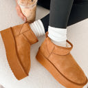  Anna Fur Lined Suede Ankle Snow Boots