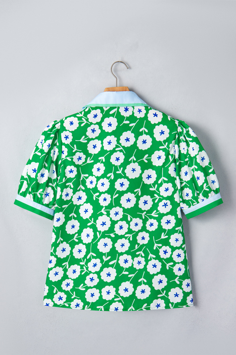 Antonella Collar Short Sleeve Blouse