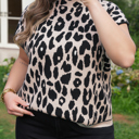  Araceli High Short Sleeve PLUS Sweater