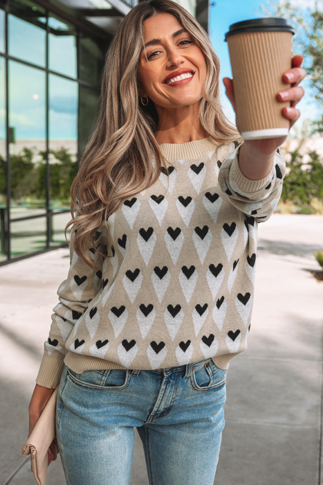Aspyn Ribbed Trim Loose Sweater