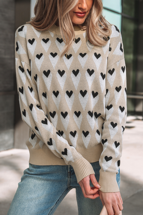 Aspyn Ribbed Trim Loose Sweater