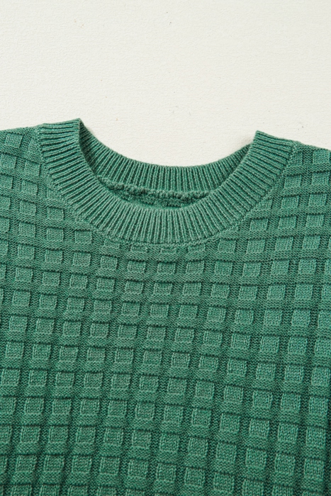 Birdie Textured Short Sleeve Sweater