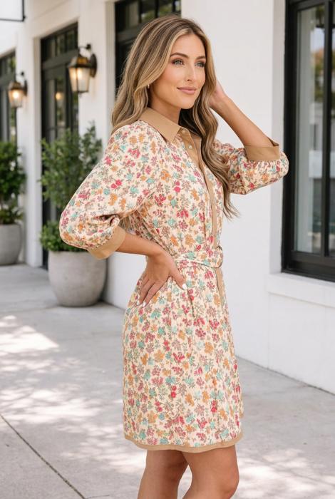 Brianna Sleeve Belted Mini Dress