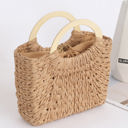  Carly Woven Handle Bag