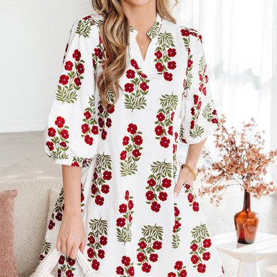 Catalina Sleeve Loose Mini Dress