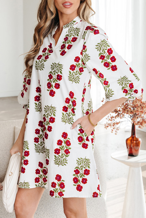 Catalina Sleeve Loose Mini Dress