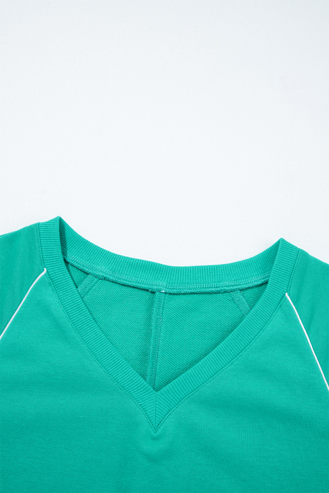 Dani Colorblock Trim Pullover Top