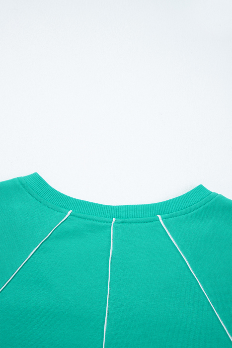 Dani Colorblock Trim Pullover Top