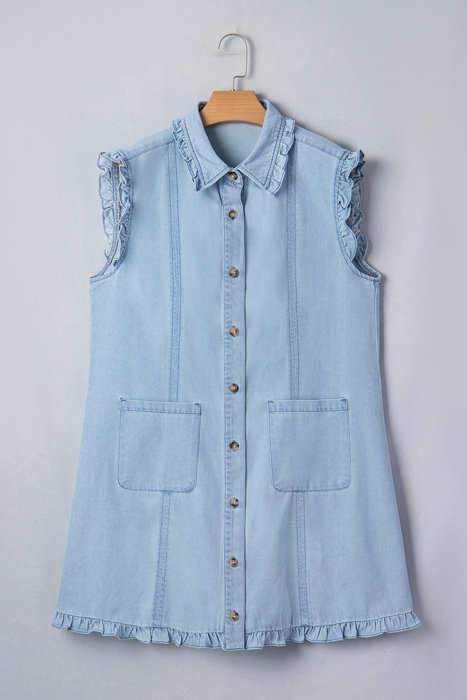 Destiny Edge Collared Shift Dress