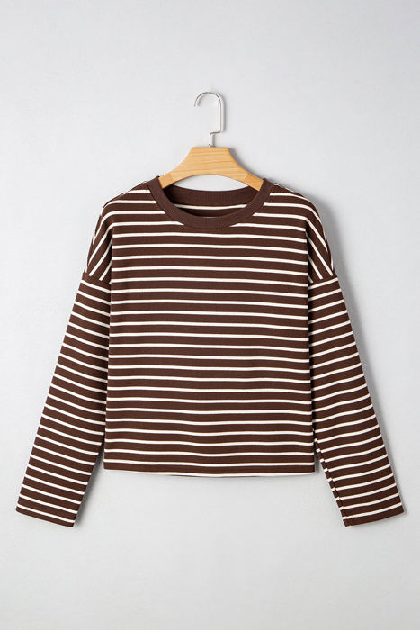Ember Stripe Ribbed Cropped Crew Neck Top