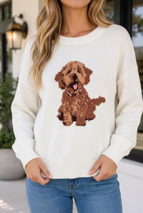 Franceskah Dropped Shoulder Relaxed Sweater