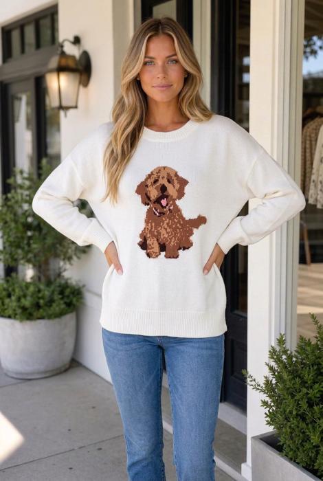 Franceskah Dropped Shoulder Relaxed Sweater