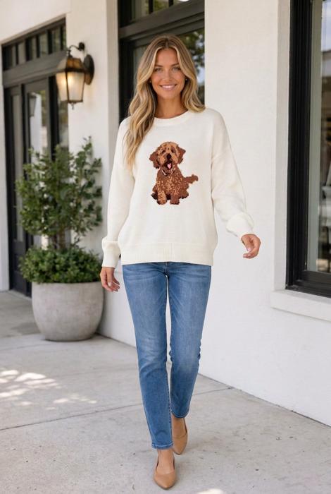 Franceskah Dropped Shoulder Relaxed Sweater