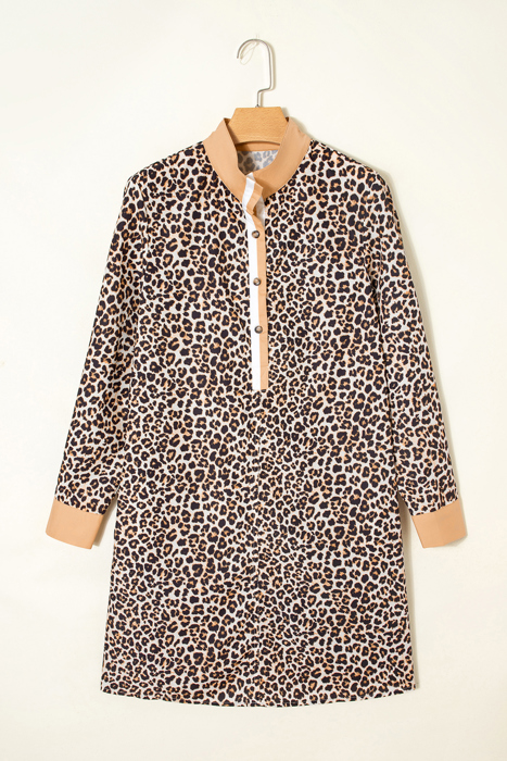 Gemma Long Sleeve Flared Dress