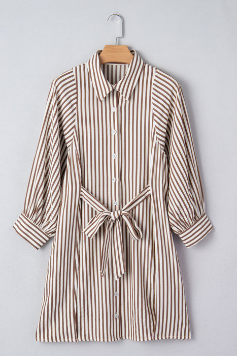 Hanna Sleeve Down Mini Shirt