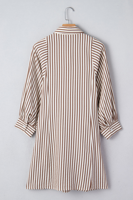 Hanna Sleeve Down Mini Shirt