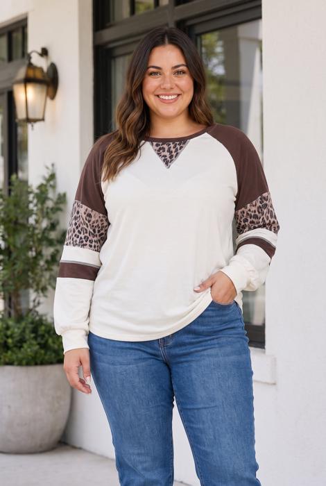 Harleigh Long Sleeve Blouse Long Sleeve PLUS Top