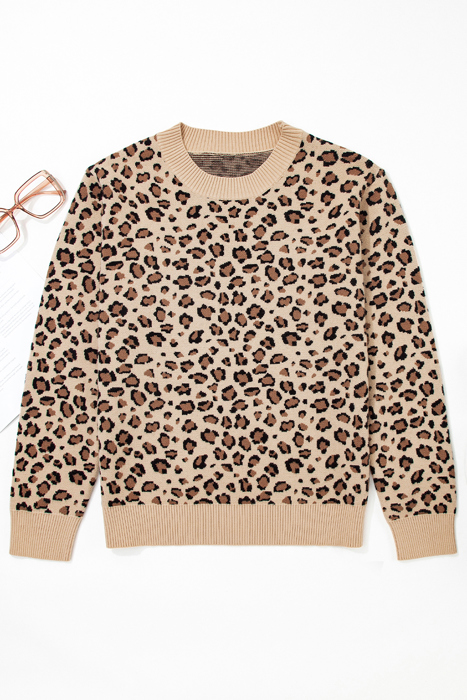 Isabela Print Dolman Sleeve Sweater