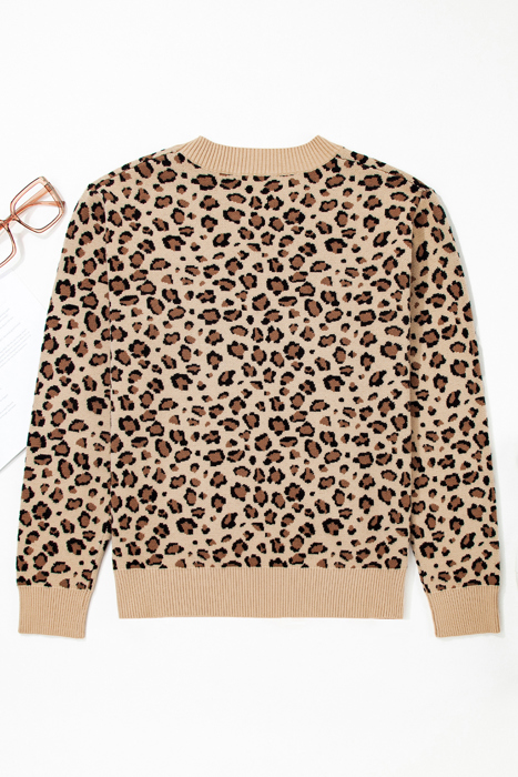 Isabela Print Dolman Sleeve Sweater