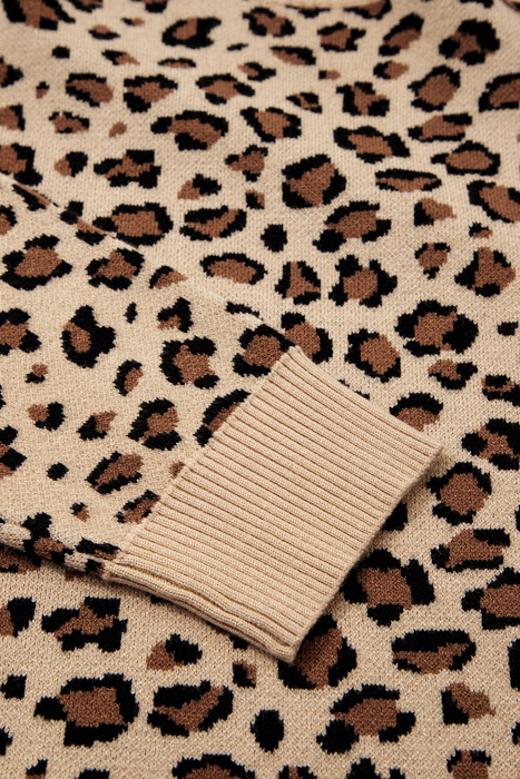 Isabela Print Dolman Sleeve Sweater